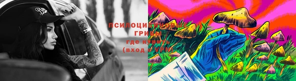 PSILOCYBIN Волоколамск